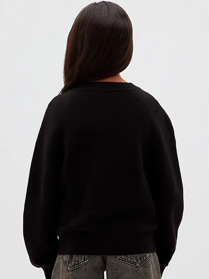 Παιδική Μπλούζα Calvin Klein MONOLOGO FASHION CN SWEATER